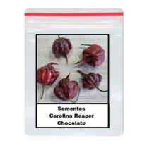 100 Sementes Carolina Reaper Chocolate