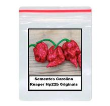 100 Sementes Carolina Reaper Hp22b 0riginais