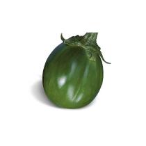 100 Sementes De Jiló morro redondo