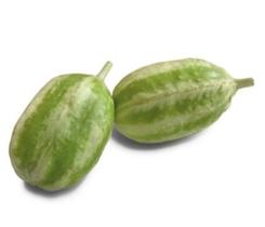 100 Sementes De Maxixe liso Gibão 100 Sementes De Maxixe liso Gibão