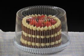 100 Un G 32MA EMBALAGEM MINI TORTA ALTA 1KG C/100 UN 100 Un G 32MA EMBALAGEM MINI TORTA ALTA 1KG C/100 UN