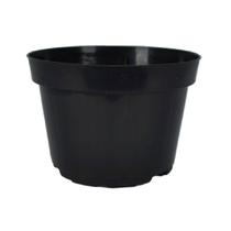 100 vasos pote 11 volume de 430 ml mudas suculentas violetas 100 vasos pote 11 volume de 430 ml mudas suculentas violetas