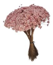 1000 Flores Sempre Vivas,rosa Bebe Decoração Casamento