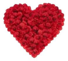 1000 Petalas De Rosas Artificial Vermelha - Minymix 1000 Petalas De Rosas Artificial Vermelha - Minymix