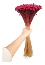 100g Sempre Vivas Marsala Natural Decoração Enfeite 100g Sempre Vivas Marsala Natural Decoração Enfeite