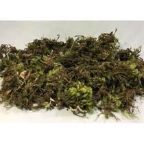 100gr Musgo Verde Sphagnum p/ artesanatos orquídeas bromélias