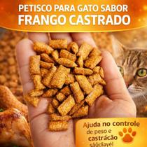 100gr petisco nuggets Pastelzinho Recheados Castrado Frango para Gatos Adultos e Filhotes.