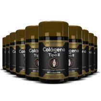 10x colágeno tipo ii 120 cápsulas hf suplementos 10x colágeno tipo ii 120 cápsulas hf suplementos