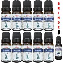 10x Óleo Essencial De Alecrim 100% Puro 100ml 10x Óleo Essencial De Alecrim 100% Puro 100ml