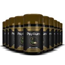 10x psyllium 120 cápsulas hf suplementos