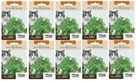 10X Sementes Erva Dos Gatos (Nepeta Cataria) Catnip TOPSEED