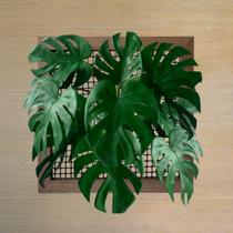 12 Costelas de Adão Artificial Design Autêntico Plantas Decorativas para Arranjos Sofisticados 55cm DE0524 12 Costelas de Adão Artificial Design Autêntico Plantas Decorativas para Arranjos Sofisticados 55cm DE0524