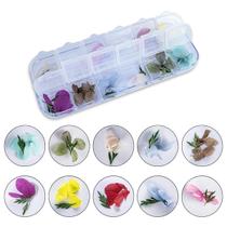 12 Flores Secas Desidratada Decoração Encapsulamento Unha Natural Unha de Gel Manicure Nail Art Nail Designer Unhas