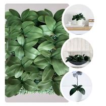 12 Folhagens de Orquídea phalaenopsis Artificiais ideal em composições Flores, Tropicais e Rústicas - DE0924