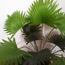 12 Hastes Palmeira Leque Latania Artificial 45 Cm. X 22 Cm. 12 Hastes Palmeira Leque Latania Artificial 45 Cm. X 22 Cm.