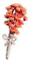 12 Lapelas Flor Noivo Padrinhos Casamento Rústica - império das flores