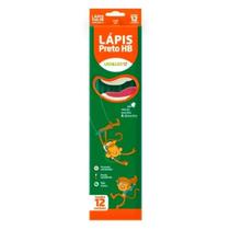 12 Lápis Preto Com Borracha Na Ponta Sextavado Leo&leo