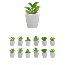 12 Mini Vasos Suculentas Artificiais Presente Dia das Mulheres