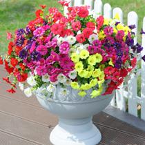 12 pacotes de flores artificiais falsas Morning Glory com eucalipto 12 pacotes de flores artificiais falsas Morning Glory com eucalipto