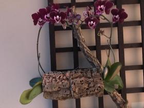 12 Pçs Mini Tronco Oco para Orquideas e Terrarios 12 Pçs Mini Tronco Oco para Orquideas e Terrarios