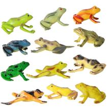 12 peças de brinquedo de sapo, simulação educacional realist 12 peças de brinquedo de sapo, simulação educacional realist