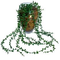 12 Plantas Artificiais com Buquês de Senécio em Silicone prontas para Decoração preço no atacado - DE0321 12 Plantas Artificiais com Buquês de Senécio em Silicone prontas para Decoração preço no atacado - DE0321