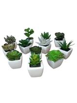 12 Vasinhos De Mini Suculentas Artificiais Realista decoração 12 Vasinhos De Mini Suculentas Artificiais Realista decoração