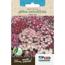 120 Sementes phlox estrelitsia flores jardim
