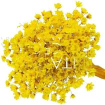 1200 Sempre Viva Florzinha Amarelo I Flores Desidratadas