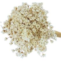 1200 Sempre Viva Florzinha Branca I Flores Desidratadas