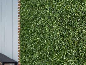 13 Quadros Verdes Painéis Rico em Folhagens e Cores Vibrantes Para Jardins Verticais Internos 13 Quadros Verdes Painéis Rico em Folhagens e Cores Vibrantes Para Jardins Verticais Internos
