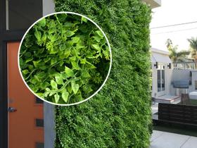 14 Placas arficiais para Jardins de Inverno Alta Qualidade Folhagens Premium Aparência Realista