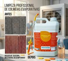 147769 Limpador Para Colmeias de Climatizadores 5 Litros 147769 Limpador Para Colmeias de Climatizadores 5 Litros