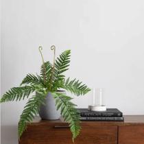 15 Buquês de Samambaia Artificiais Folhagem de Alta Qualidade Para Decorações de Apartamentos - DE0424
