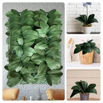 15 Hastes de Folha verde de Orquídea Permanente para Decorações Internas no Estilo Faça Você Mesmo - DE0924