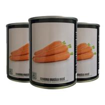 150g Sementes Tradicionais Cenoura Brasília Irecê Feltrin Alta Germinação e Rendimento