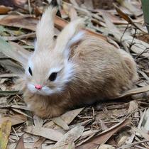 15cm realista bonito pelúcia coelhos animais realistas simulam animais