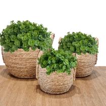 18 maços 6 hastes cada mini eucalipto planta artificial atacado Enfeite de guirlanda e Buquê - DE2823