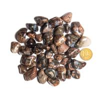1kg de Riolita Rolada - Pedra Vulcânica Natural P 10 a 20mm Tipo B 1kg de Riolita Rolada - Pedra Vulcânica Natural P 10 a 20mm Tipo B