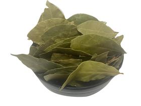 1kg Folha De Louro Planta Medicial 1kg Folha De Louro Planta Medicial