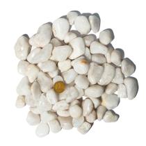 1kg Quartzo Leitoso Rolado Pedra Natural M 20 a 35mm Tipo C 1kg Quartzo Leitoso Rolado Pedra Natural M 20 a 35mm Tipo C