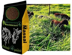 1kg Sementes de capim massai para formar uma excelente pastagem resitente 1kg Sementes de capim massai para formar uma excelente pastagem resitente