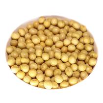 1kg Soja em Grãos Qualidade Premium