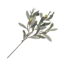 1pc simulação flores artificiais ramo de oliveira falso planta verde decoração para casa festa 1pc simulação flores artificiais ramo de oliveira falso planta verde decoração para casa festa