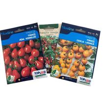 2.100 Sementes de Tomate Pera, Tomate Cereja Laranja e Tomate Samambaia 1 Envelope de Cada