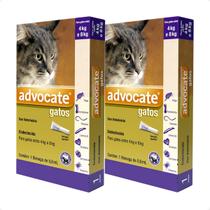 2 Advocate Gatos 4 Kg A 8 Kg AntipuLG 1 Pipeta Envio Imediat 2 Advocate Gatos 4 Kg A 8 Kg AntipuLG 1 Pipeta Envio Imediat