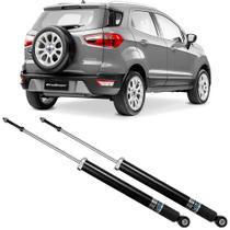 2 Amortecedor Ford Ecosport 2012 a 2020 Traseiro HG41012 Nakata