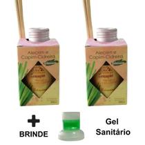 2 Aromatizador Ambiente Vareta Perfumador Casa 100ml Difusor Ar Lar Top Marca Luz Aromas - Envio Já