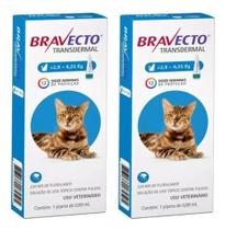 2 Bravecto Transdermal Gato De 2,8 A 6,25kg Antipulgas 250mg 2 Bravecto Transdermal Gato De 2,8 A 6,25kg Antipulgas 250mg