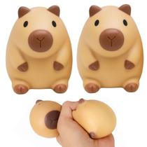 2 Brinquedos Squishy Capivara Anti Stress Relaxante Lembrancinha Aniversário